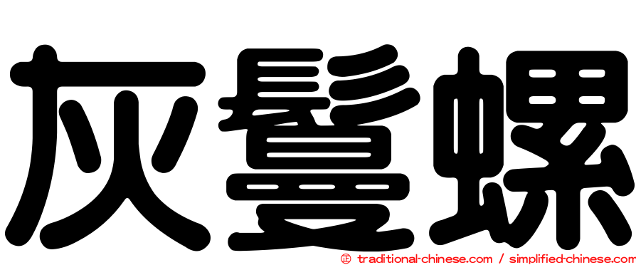 灰鬘螺