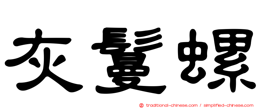 灰鬘螺