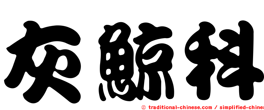 灰鯨科