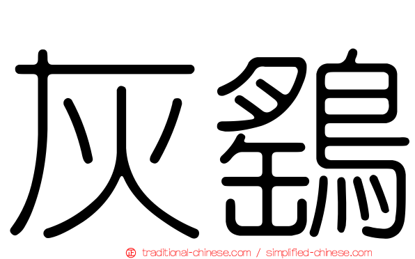 灰鷂