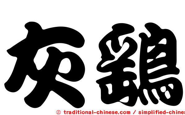 灰鷂