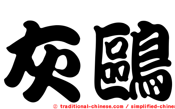 灰鷗