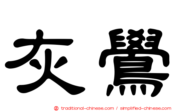 灰鷽