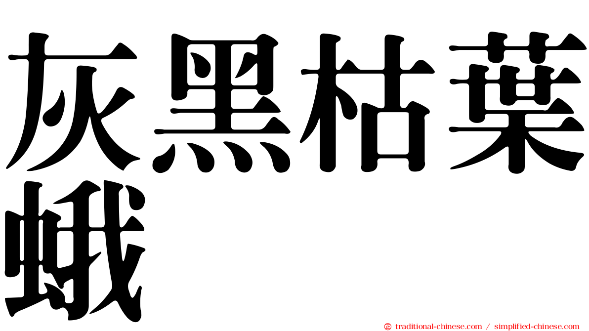 灰黑枯葉蛾