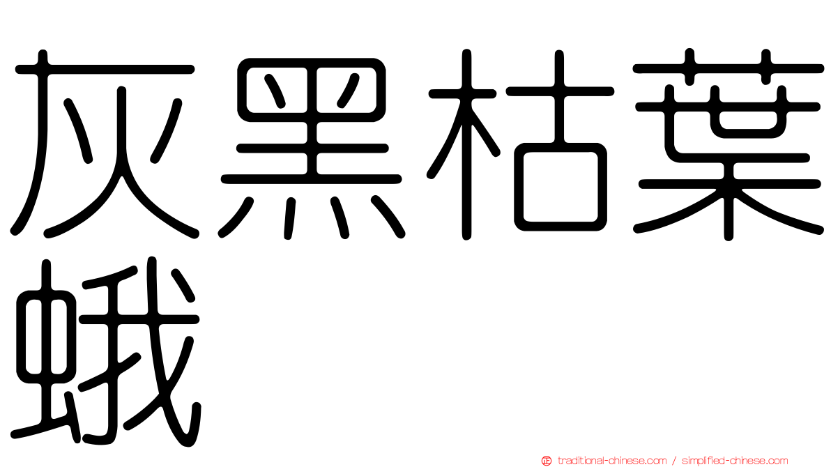 灰黑枯葉蛾