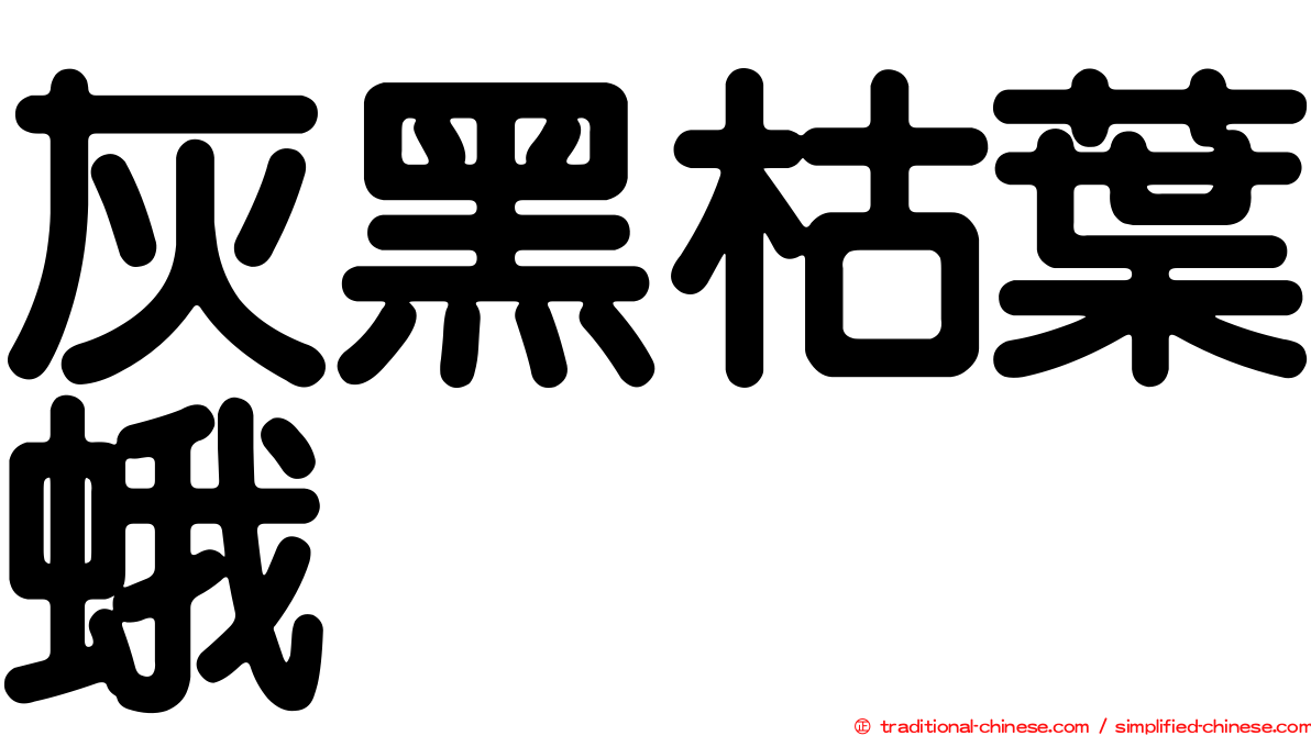 灰黑枯葉蛾