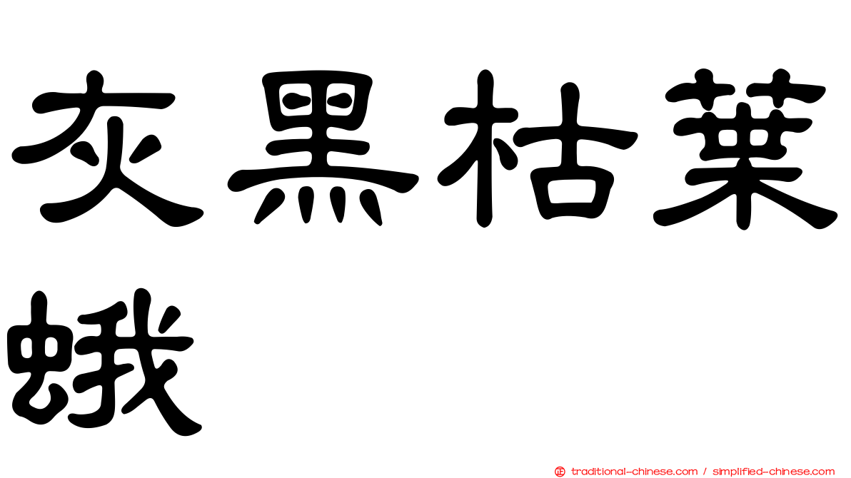 灰黑枯葉蛾