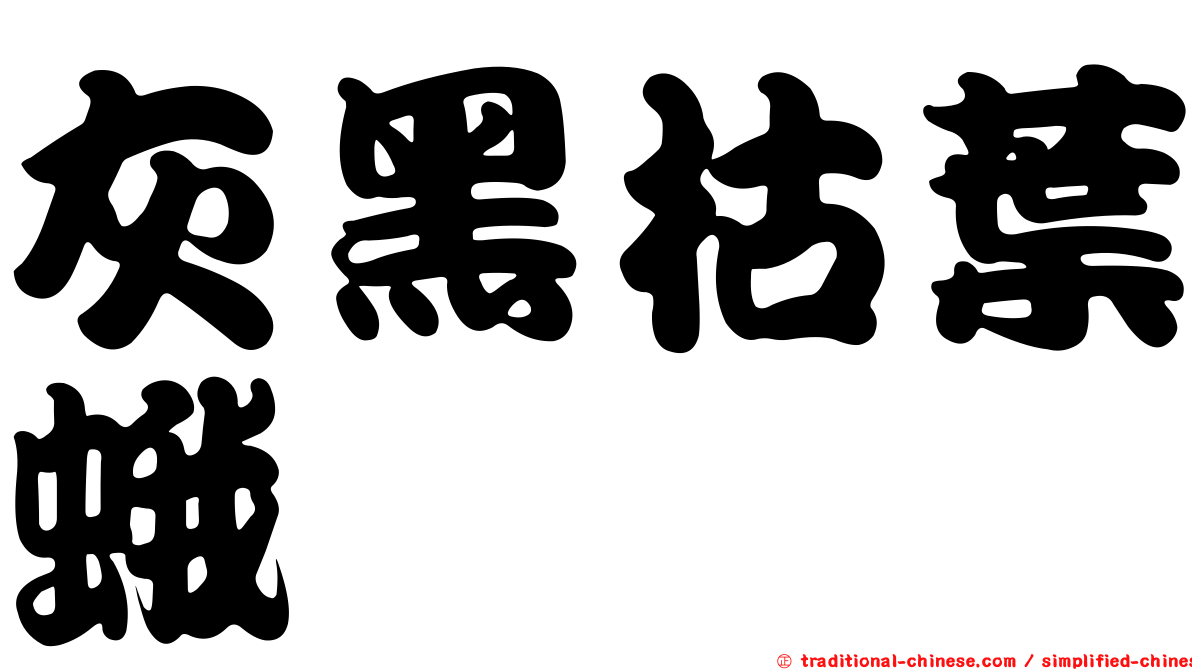 灰黑枯葉蛾