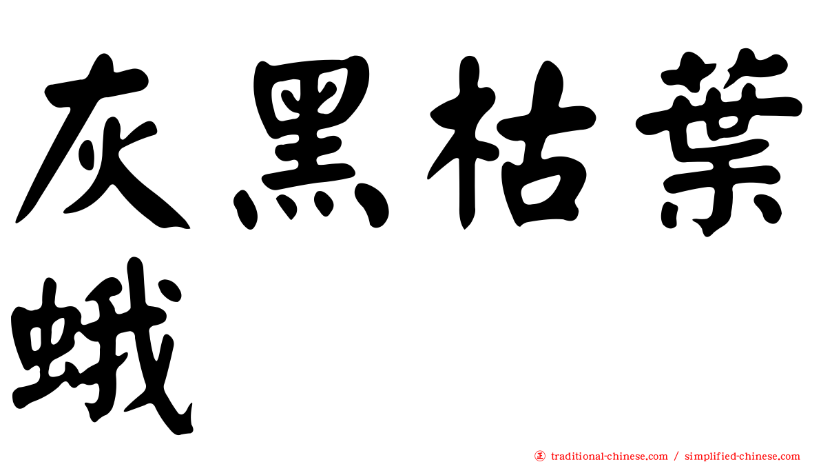 灰黑枯葉蛾