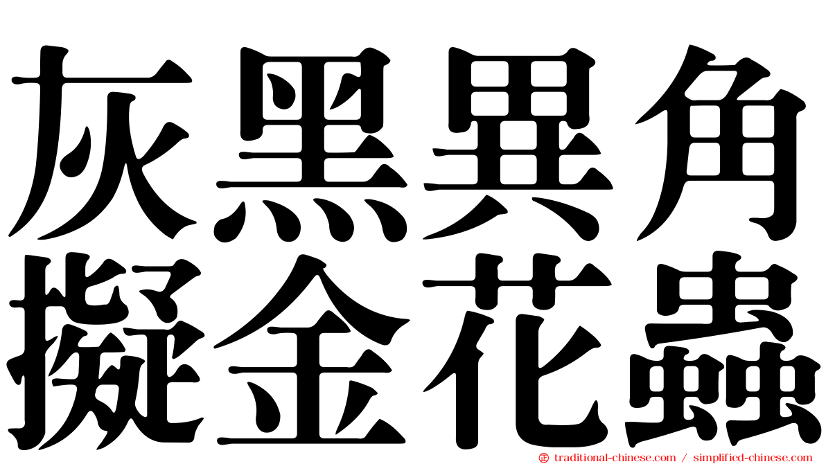 灰黑異角擬金花蟲
