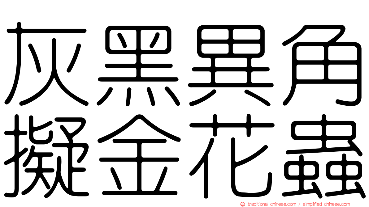 灰黑異角擬金花蟲