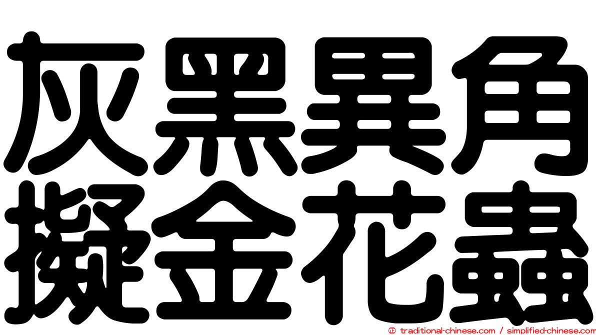 灰黑異角擬金花蟲