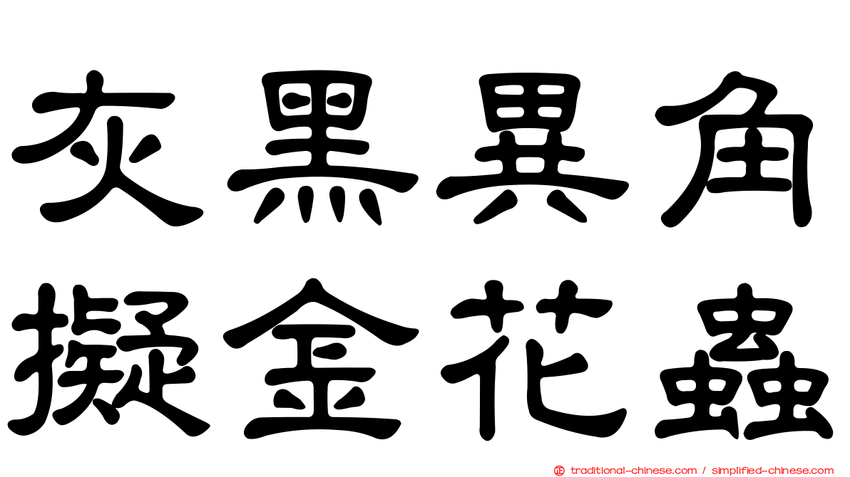 灰黑異角擬金花蟲