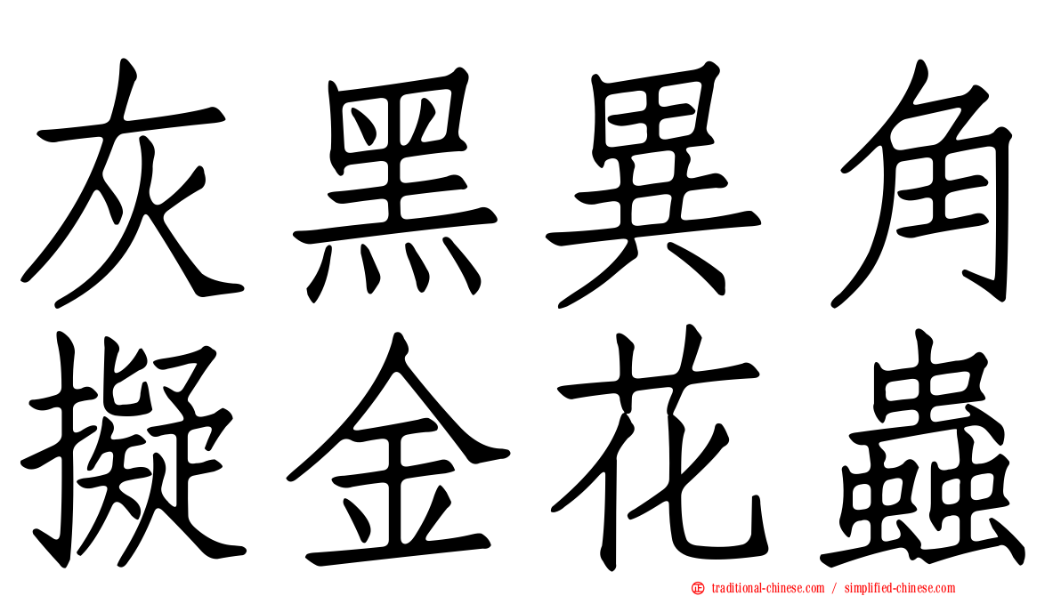 灰黑異角擬金花蟲
