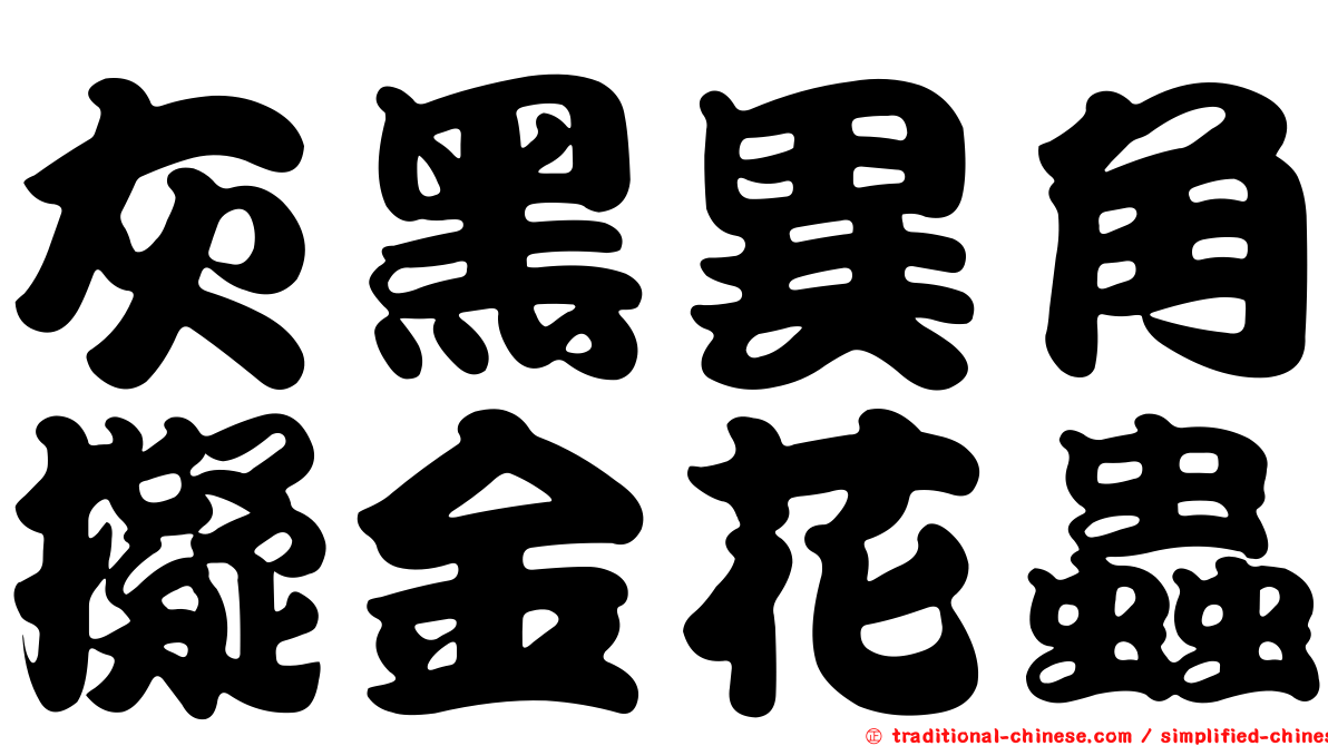 灰黑異角擬金花蟲