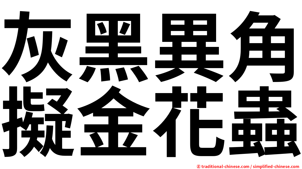 灰黑異角擬金花蟲