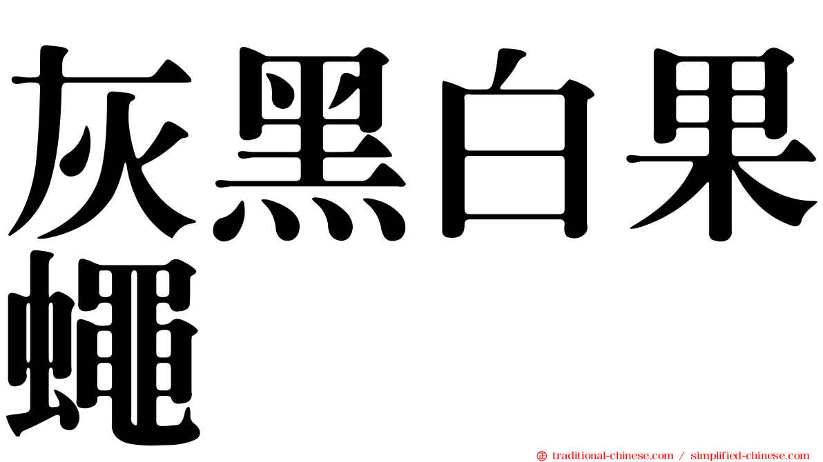 灰黑白果蠅