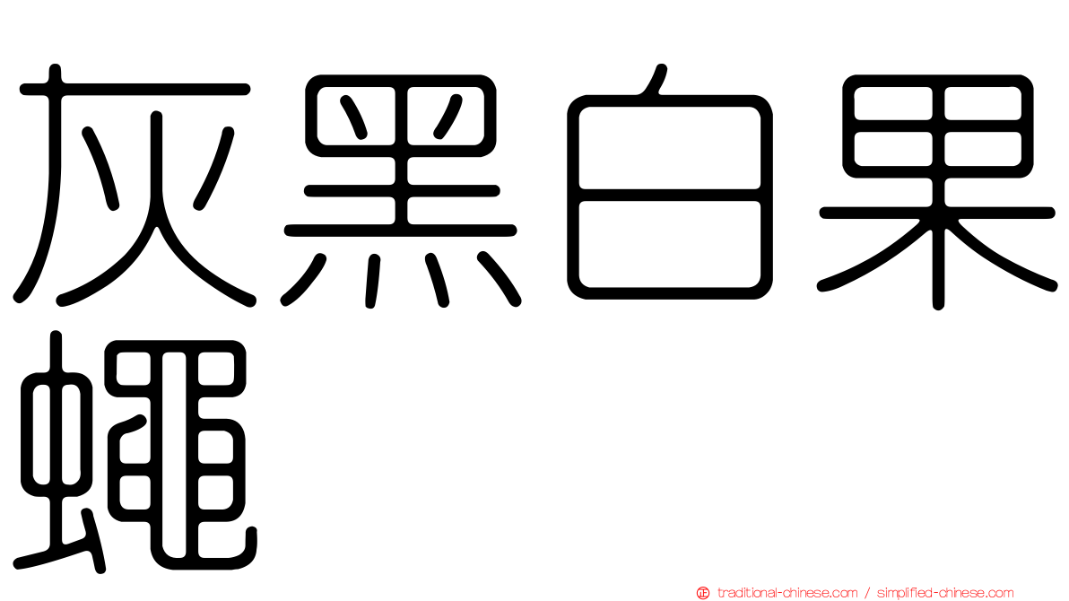 灰黑白果蠅