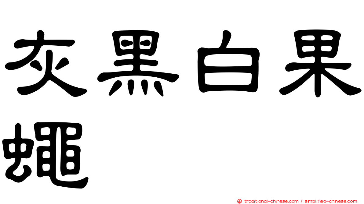 灰黑白果蠅