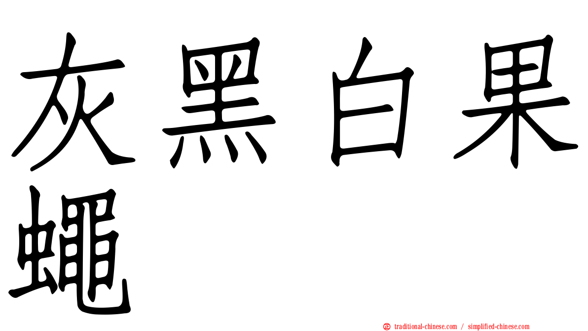 灰黑白果蠅