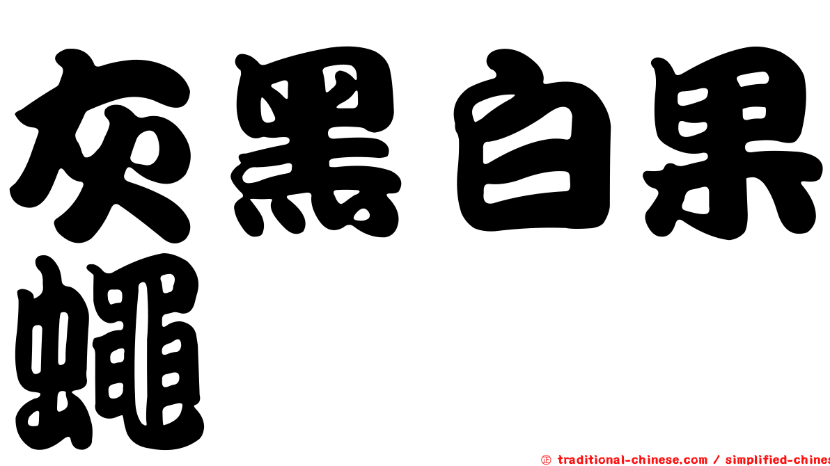 灰黑白果蠅