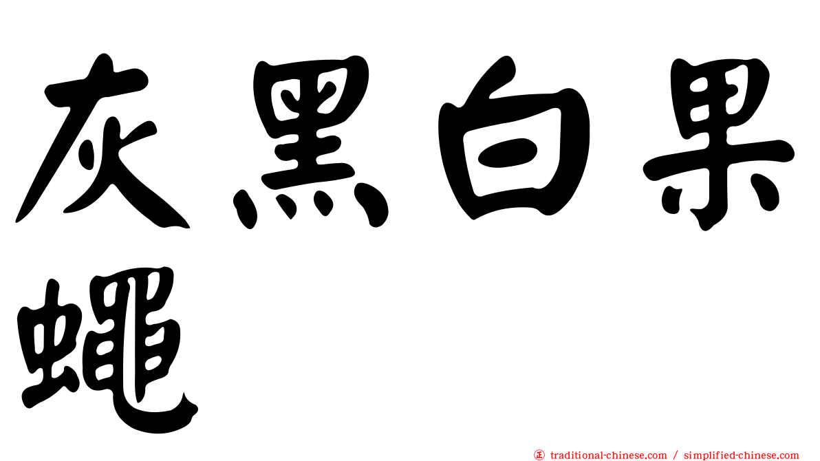 灰黑白果蠅