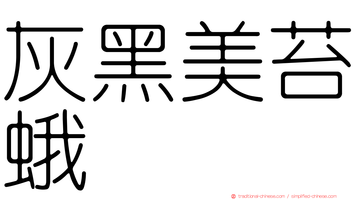 灰黑美苔蛾