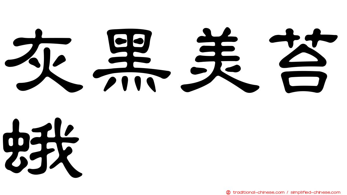 灰黑美苔蛾