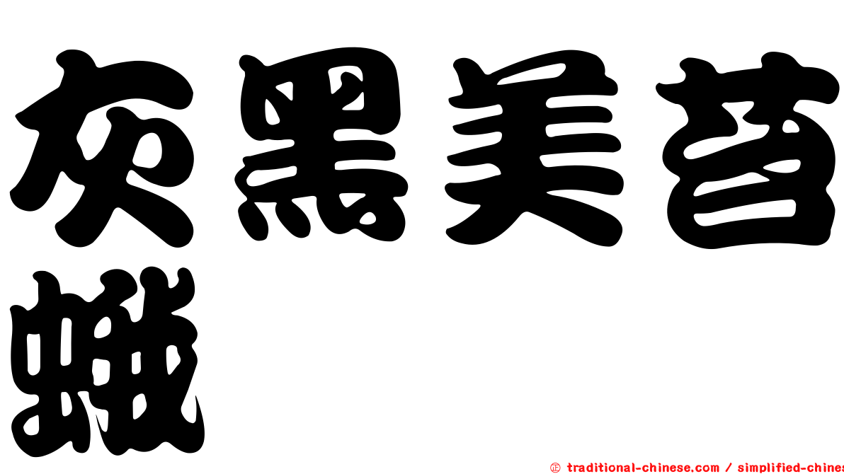 灰黑美苔蛾