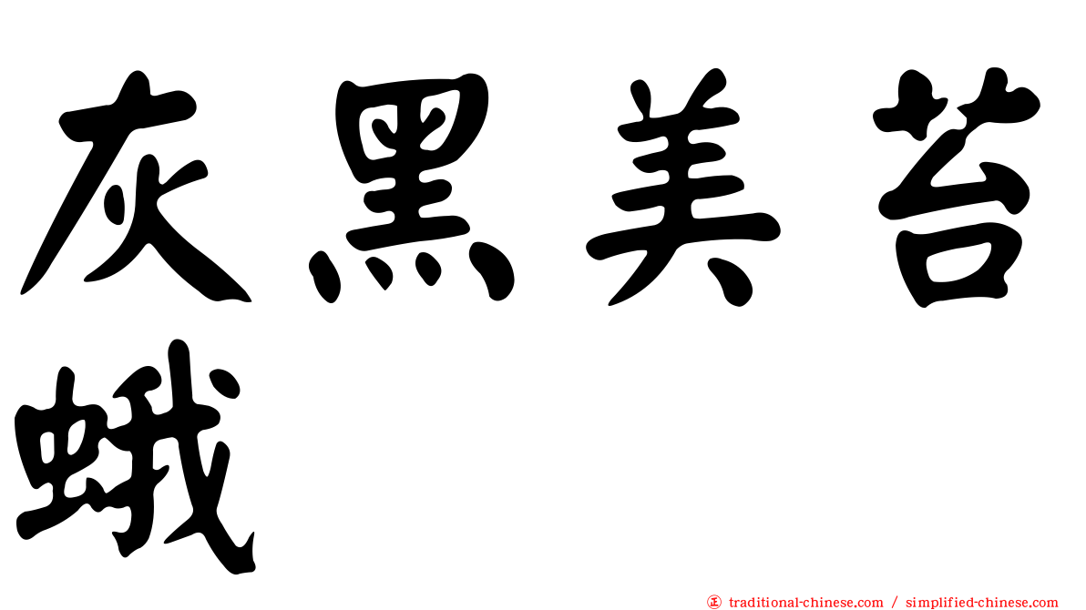 灰黑美苔蛾