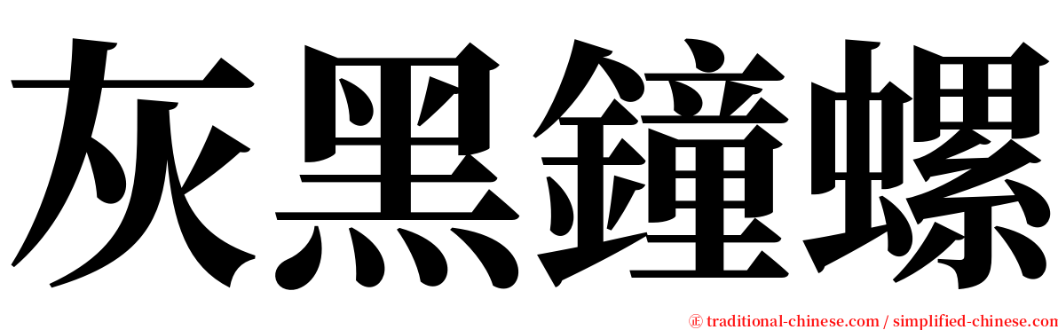灰黑鐘螺 serif font