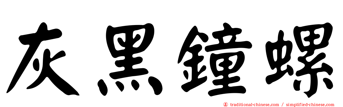 灰黑鐘螺