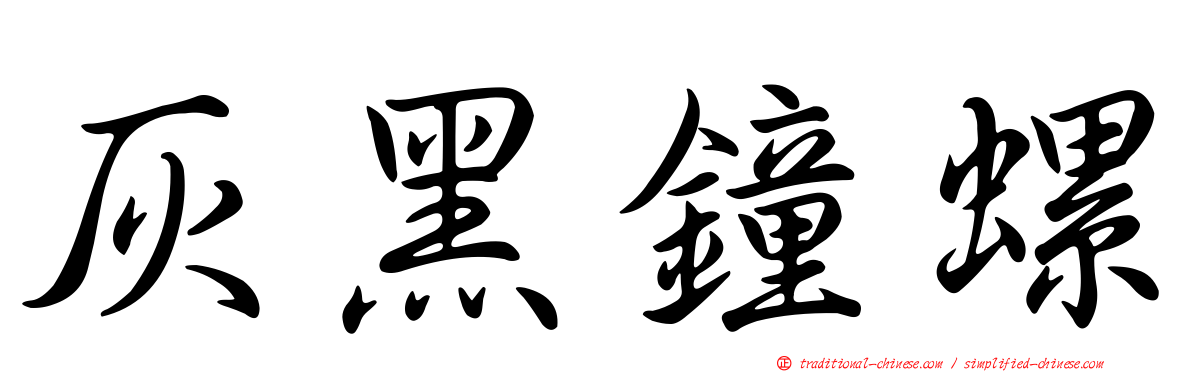 灰黑鐘螺