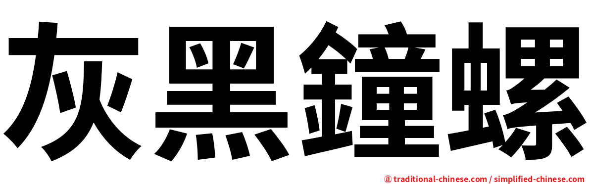 灰黑鐘螺