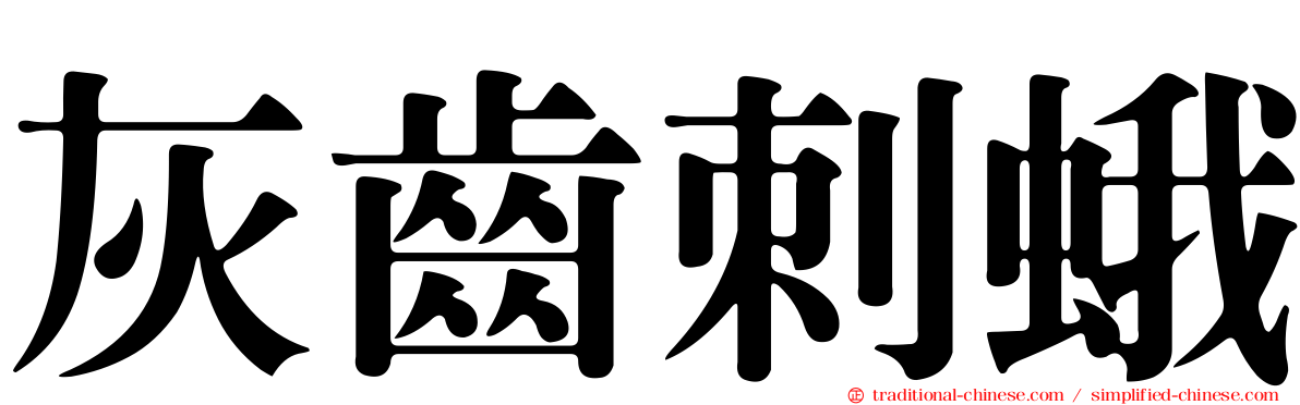 灰齒刺蛾