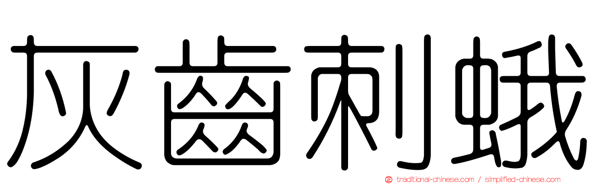 灰齒刺蛾