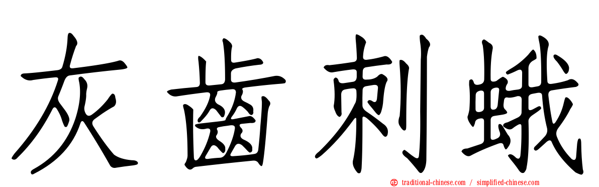 灰齒刺蛾
