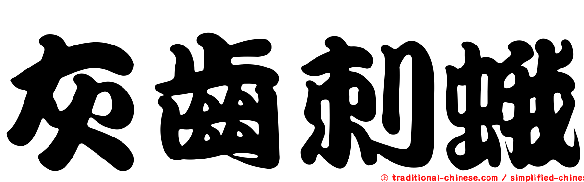 灰齒刺蛾