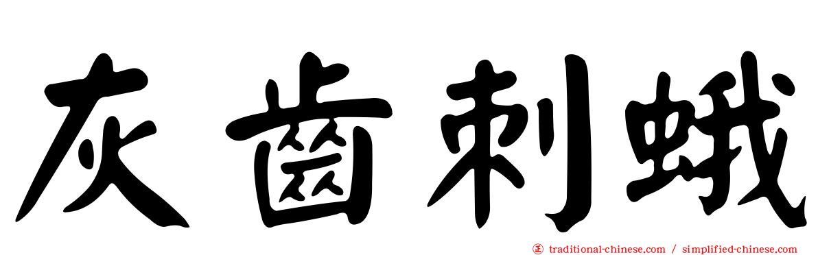 灰齒刺蛾
