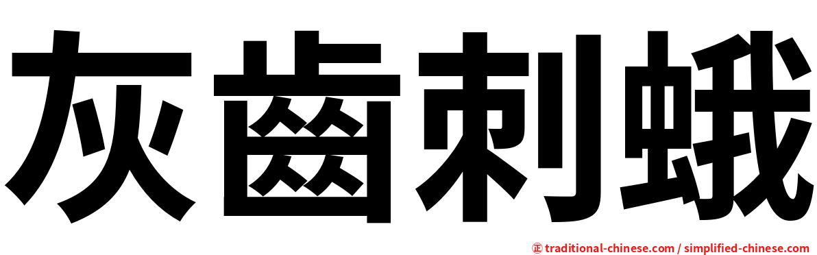 灰齒刺蛾
