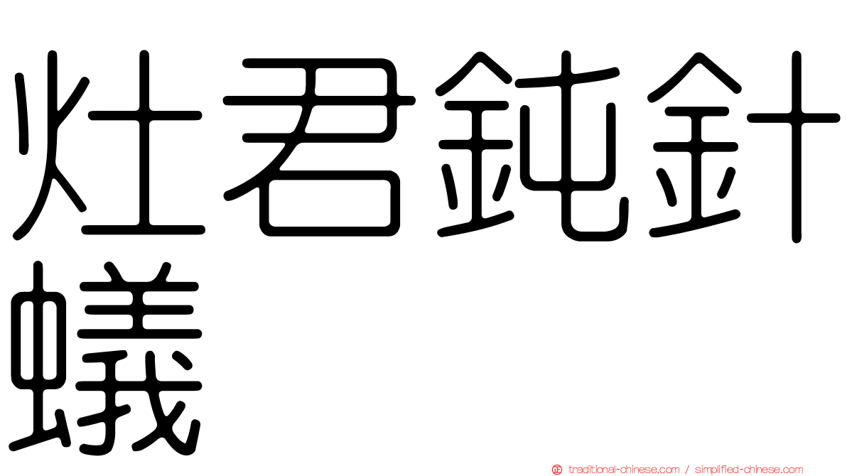 灶君鈍針蟻