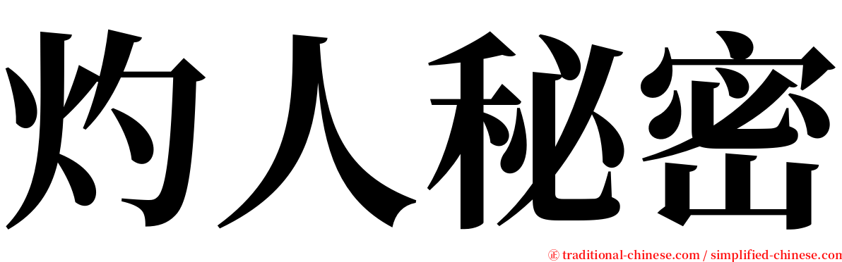 灼人秘密 serif font