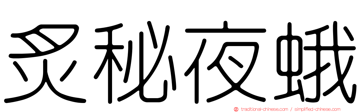 炙秘夜蛾