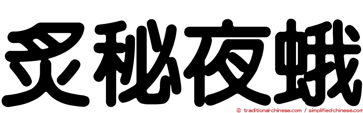 炙秘夜蛾