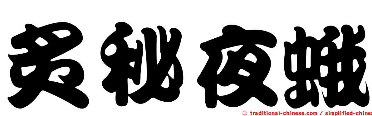 炙秘夜蛾