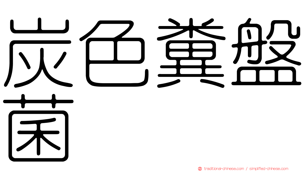 炭色糞盤菌