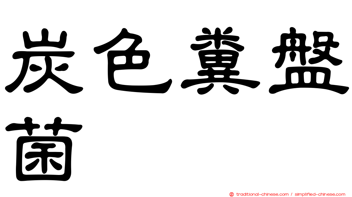 炭色糞盤菌