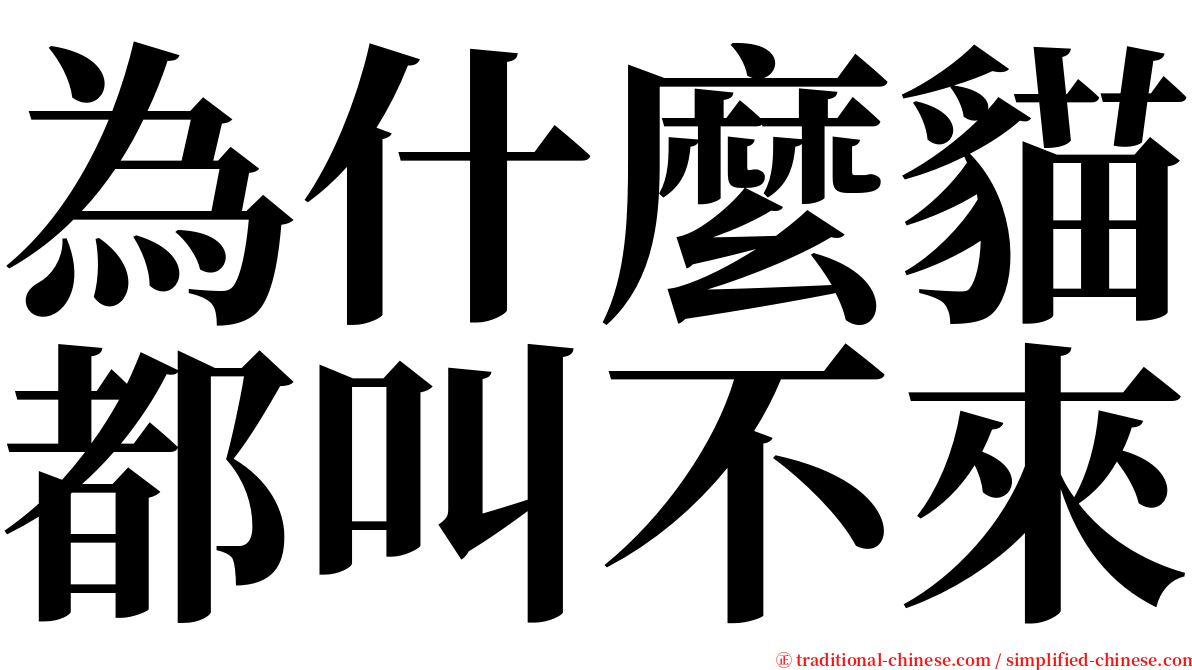 為什麼貓都叫不來 serif font