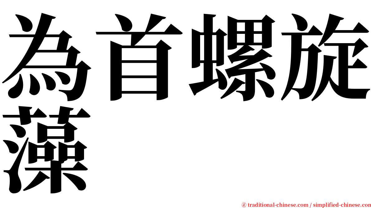 為首螺旋藻 serif font
