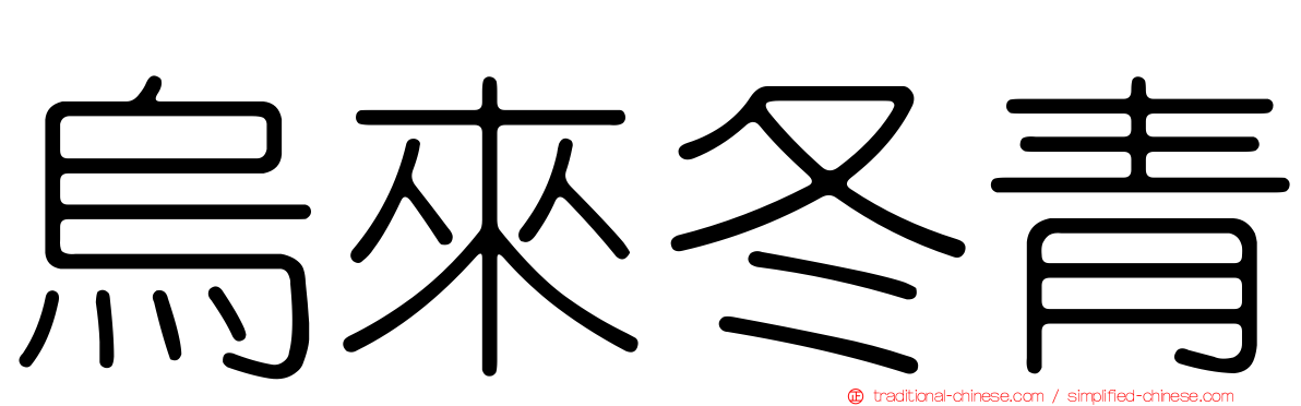 烏來冬青